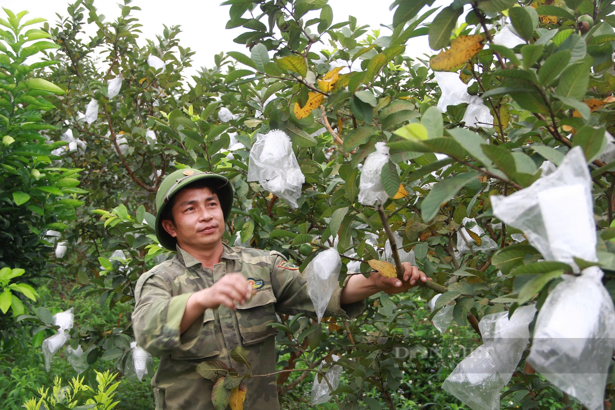 Cần hỗ trợ nông dân xây dựng sản phẩm, để nâng cao chất lượng - Ảnh 7.