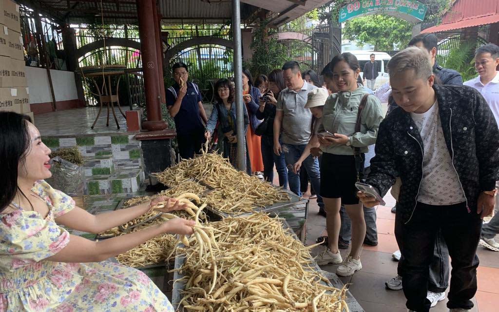 Hàng loạt công trình thuỷ điện ở Quảng Ngãi được đưa vào diện Thanh tra năm 2025- Ảnh 2.