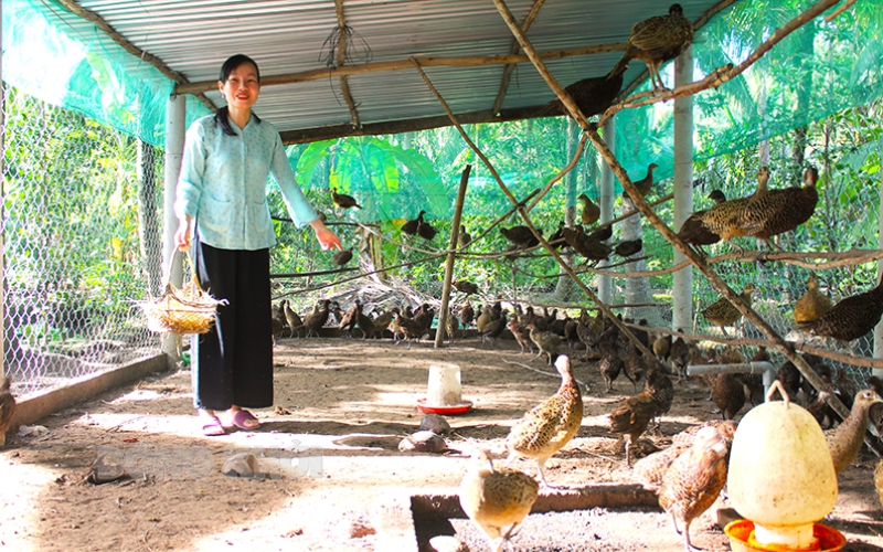 Ở Phú Thọ, đây là nơi duy nhất Việt Nam có rừng nguyên sinh núi đá vôi, la liệt động vật hoang dã - Ảnh 3.