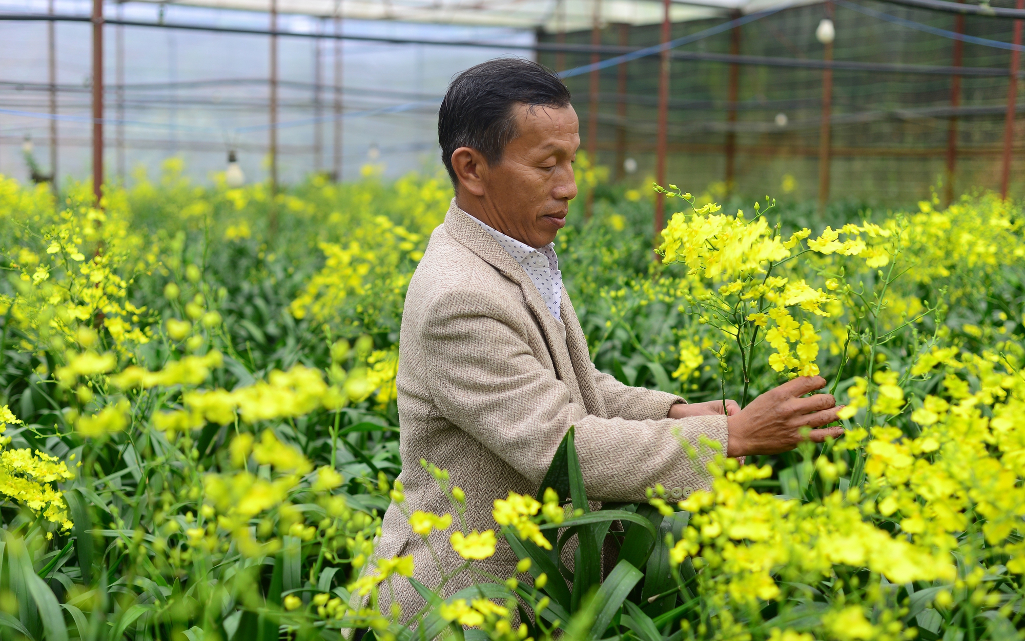 Ông Huỳnh Văn Thòn nêu sự khác nhau giữa cánh đồng mẫu lớn và đề án 1 triệu ha lúa CLC - Ảnh 2.