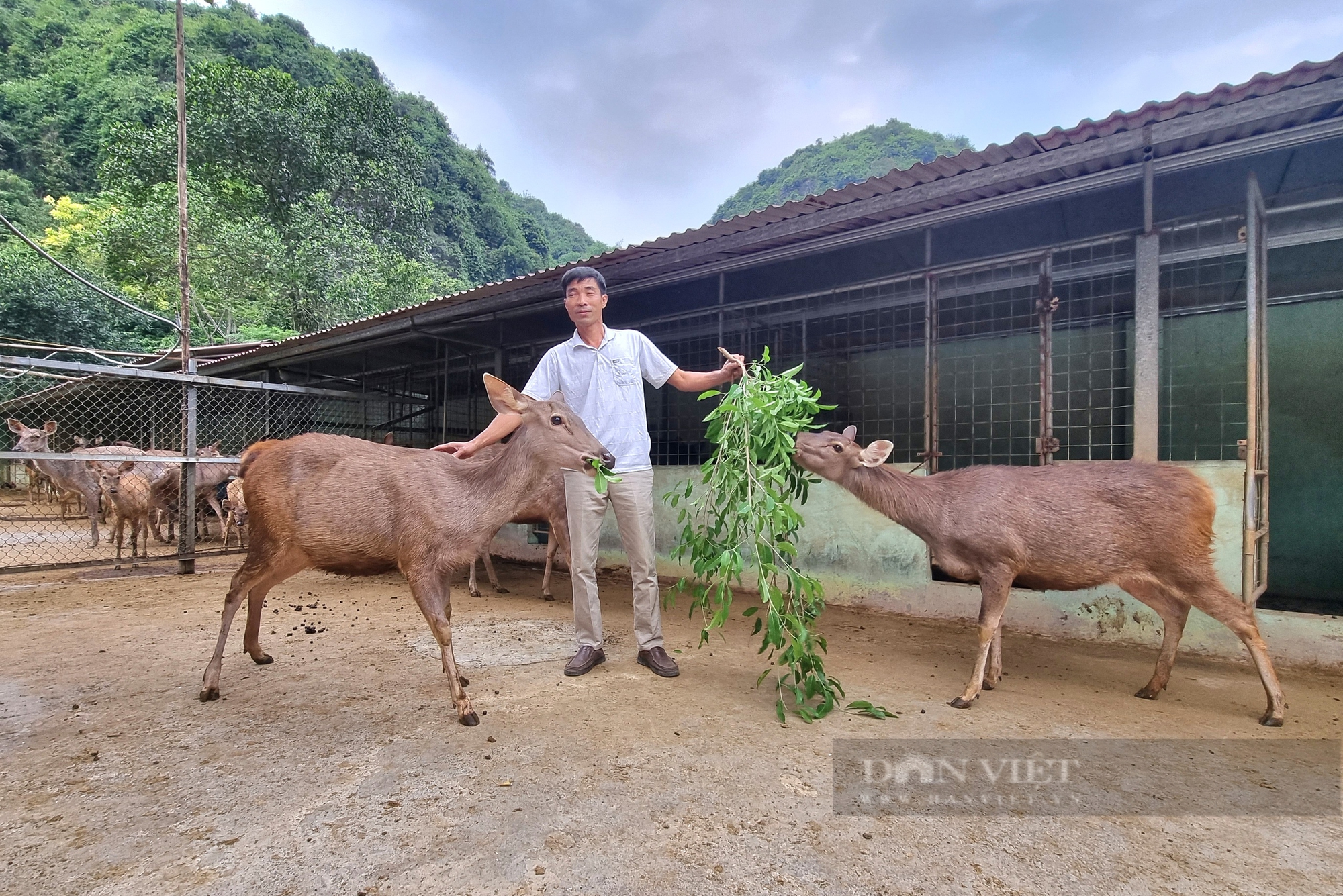 Nuôi la liệt con động vật hoang dã trong chuồng, một nông dân Ninh Bình có doanh thu 3 tỷ đồng/năm - Ảnh 5.