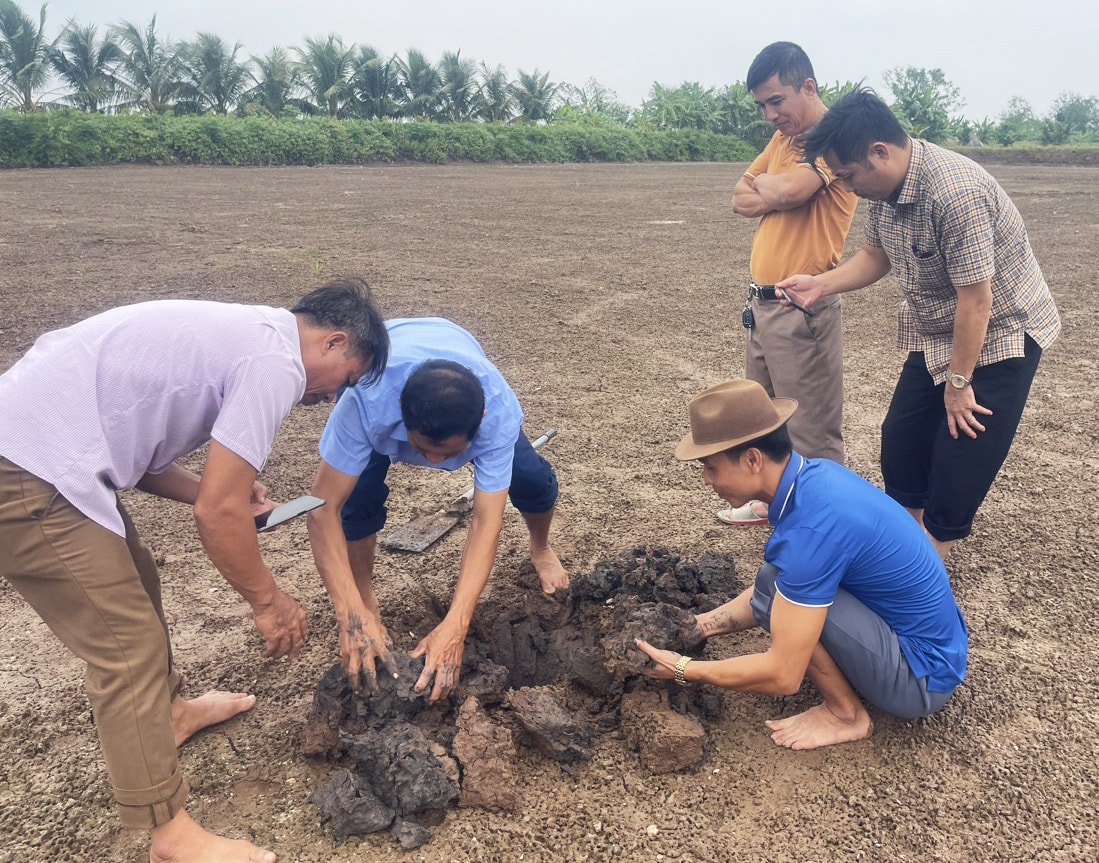 Chuyên gia khuyến nông chia sẻ cách nuôi một loài "đại bổ" kết hợp trồng lúa hữu cơ, cho thu nhập hấp dẫn - Ảnh 4.