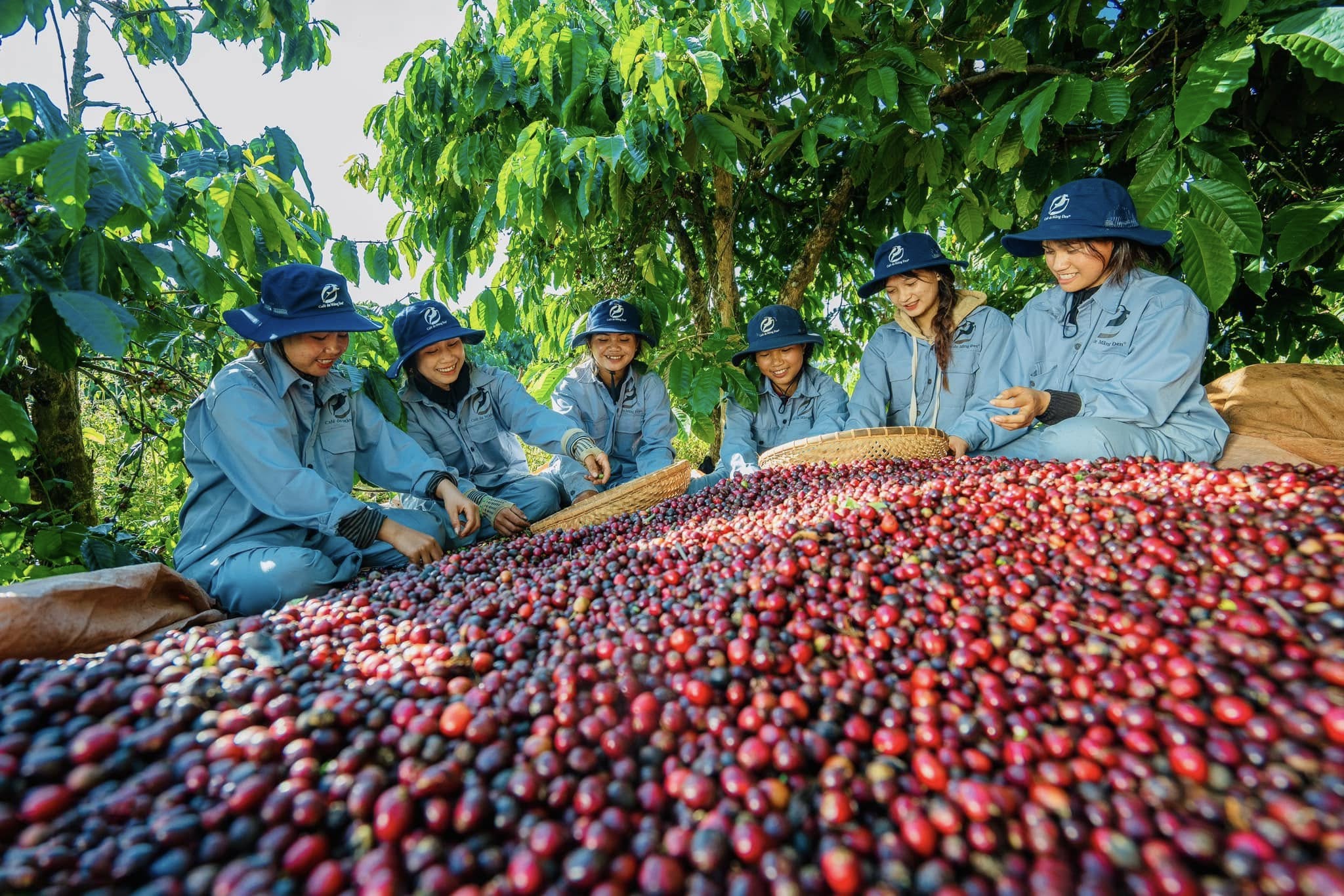 Dự án sân bay Măng Đen, "đánh thức" tiềm năng lợi thế mang tầm cỡ quốc tế - Ảnh 2.