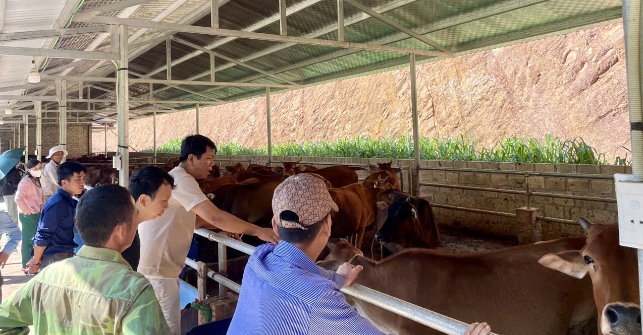 Lạng Sơn: Đẩy mạnh hỗ trợ phát triển sản xuất, hỗ trợ sinh kế cho hộ nghèo gắn với bình đẳng giới- Ảnh 1.