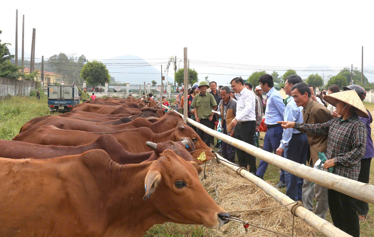 Ninh Bình: Nhiều xã đạt chuẩn nông thôn mới nâng cao, NTM kiểu mẫu năm 2024 - Ảnh 5.