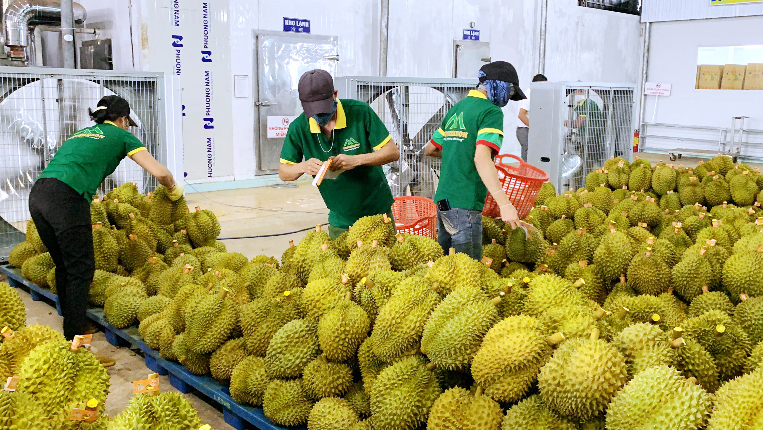 Chủ tịch HND Đắk Nông kiến nghị Thủ tướng thúc đẩy chuyển đổi số và xây dựng thương hiệu nông sản - Ảnh 2.