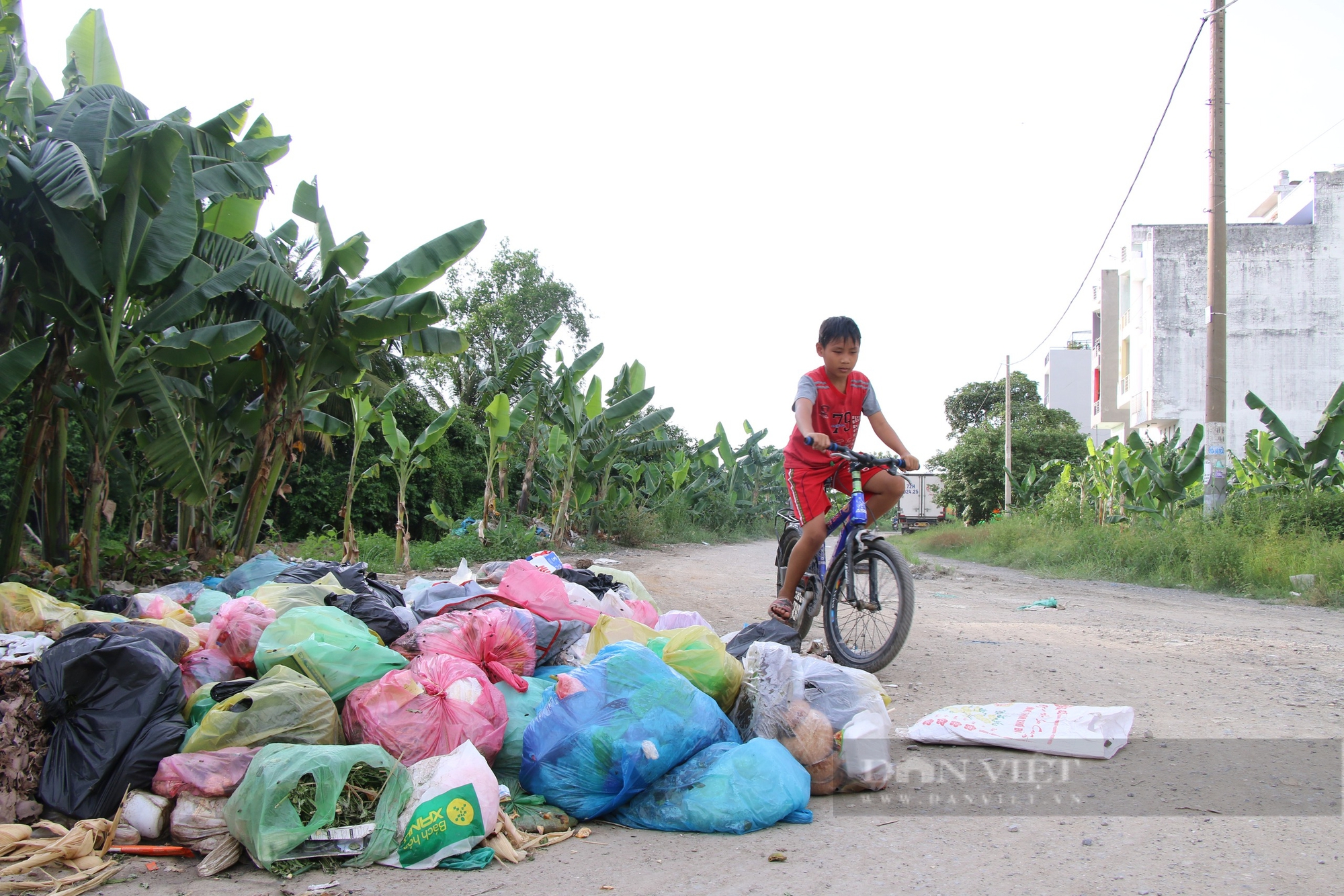 TPHCM cho vay hơn 135 tỷ đồng chuyển đổi phương tiện thu gom, vận chuyển rác - Ảnh 1.