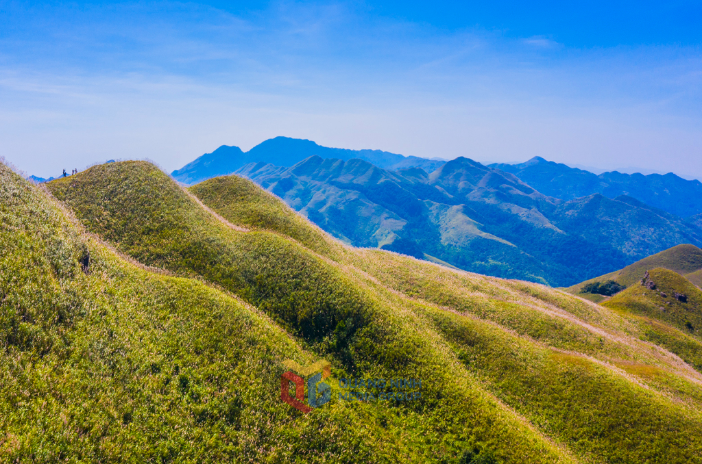 Đồi núi trùng điệp ở huyện Bình Liêu của Quảng Ninh cảnh sắc đẹp là bởi một loài cỏ dại-cỏ lau- Ảnh 3.