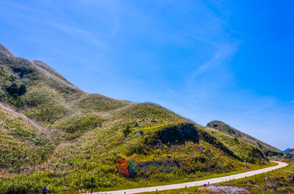 Đồi núi trùng điệp ở huyện Bình Liêu của Quảng Ninh cảnh sắc đẹp là bởi một loài cỏ dại-cỏ lau- Ảnh 5.