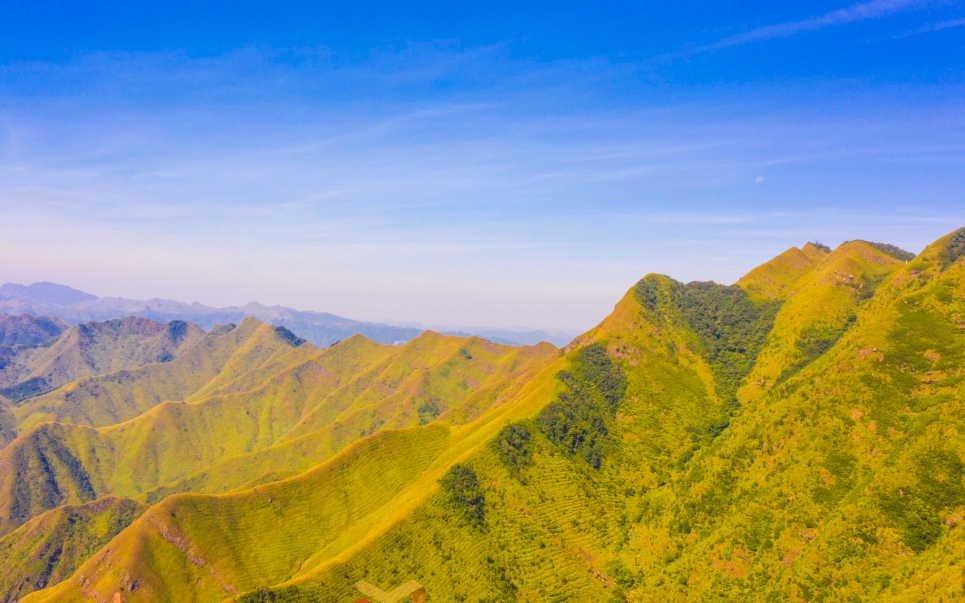 Dúi mốc, con đặc sản này vốn là loài động vật hoang dã, nuôi thành công ở Bình Phước, bán hút hàng - Ảnh 6.