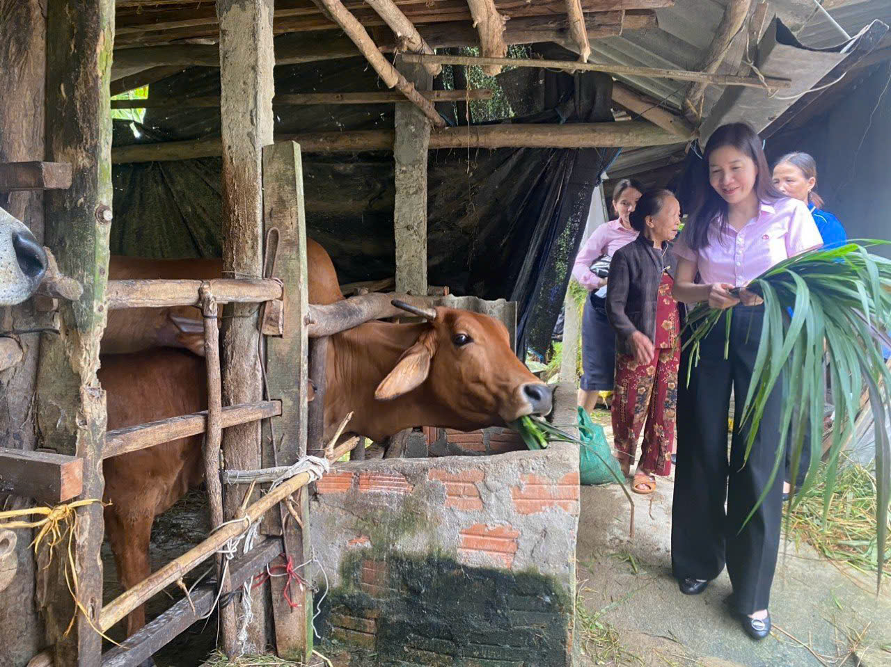 Quảng Ngãi: Vốn vay ưu đãi giúp hàng nghìn hộ dân thoát nghèo, đảm bảo an sinh xã hội - Ảnh 3.