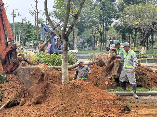 Lộ diện nhà thầu dự án 146 tỷ; hình ảnh Quảng trường, đường Phạm Văn Đồng TP.Quảng Ngãi sau nâng cấp- Ảnh 2.