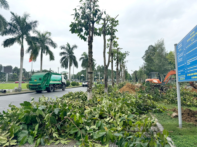 Lộ diện nhà thầu dự án 146 tỷ; hình ảnh Quảng trường, đường Phạm Văn Đồng TP.Quảng Ngãi sau nâng cấp- Ảnh 4.