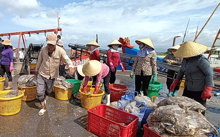 Dúi mốc, con đặc sản này vốn là loài động vật hoang dã, nuôi thành công ở Bình Phước, bán hút hàng - Ảnh 4.