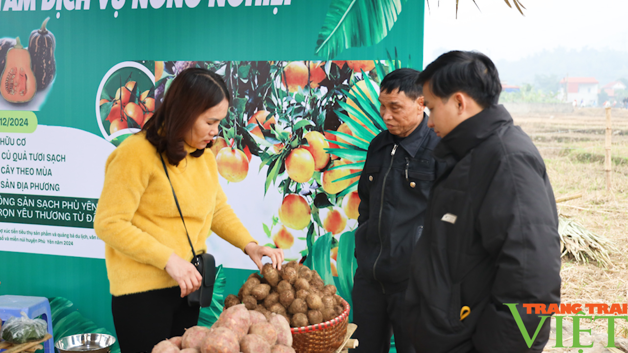 Phù Yên thúc đẩy tiêu thụ sản phẩm và quảng bá du lịch- Ảnh 6.