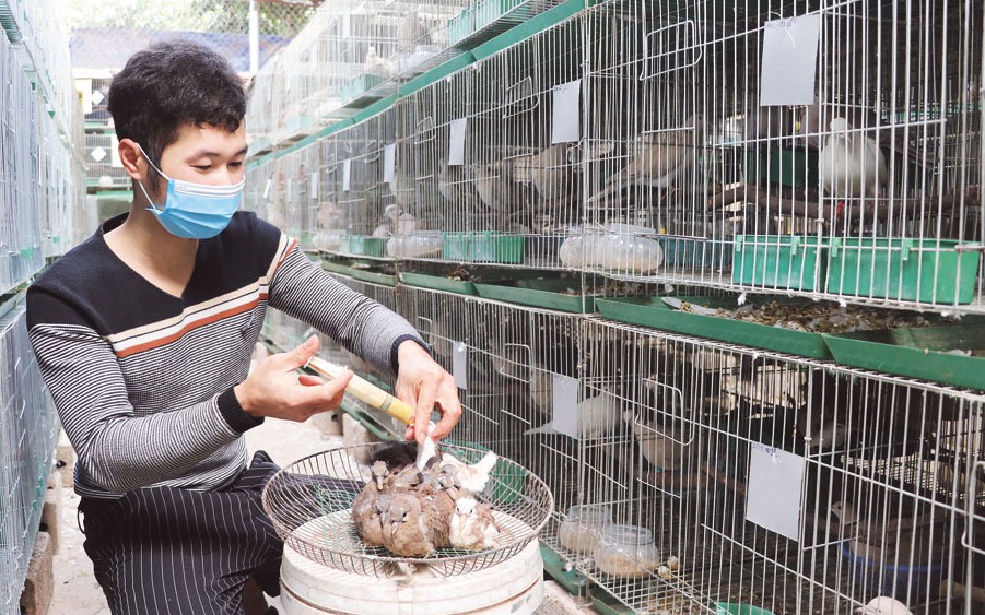 Vì sao mùa gió Bắc là mùa chật vật của nghề đánh cá biển ở Bà Rịa-Vũng Tàu, câu mực thất thu? - Ảnh 1.