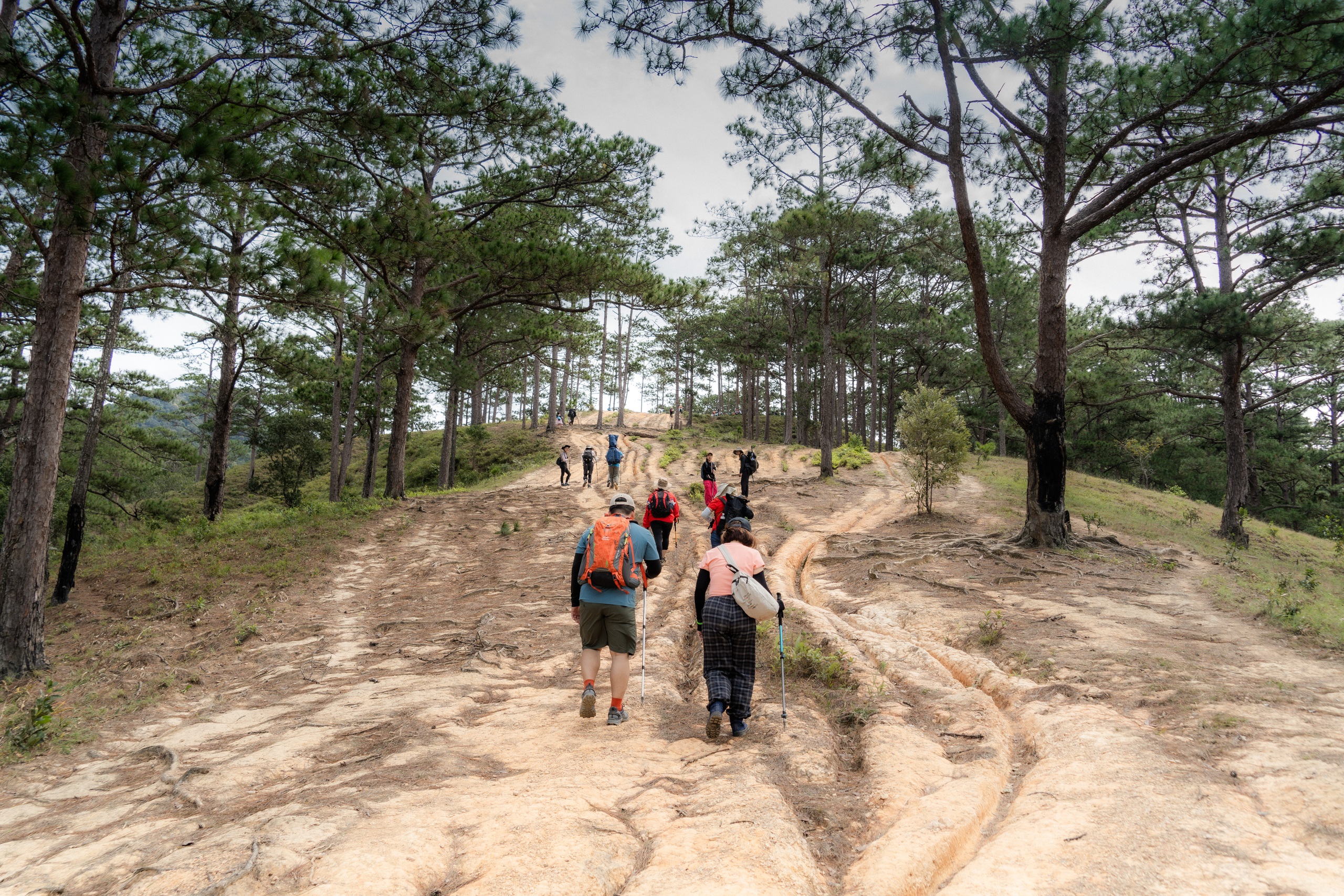 2 ngày 1 đêm trên cung đường trekking đẹp nhất Việt Nam dịp cuối năm - Ảnh 3.