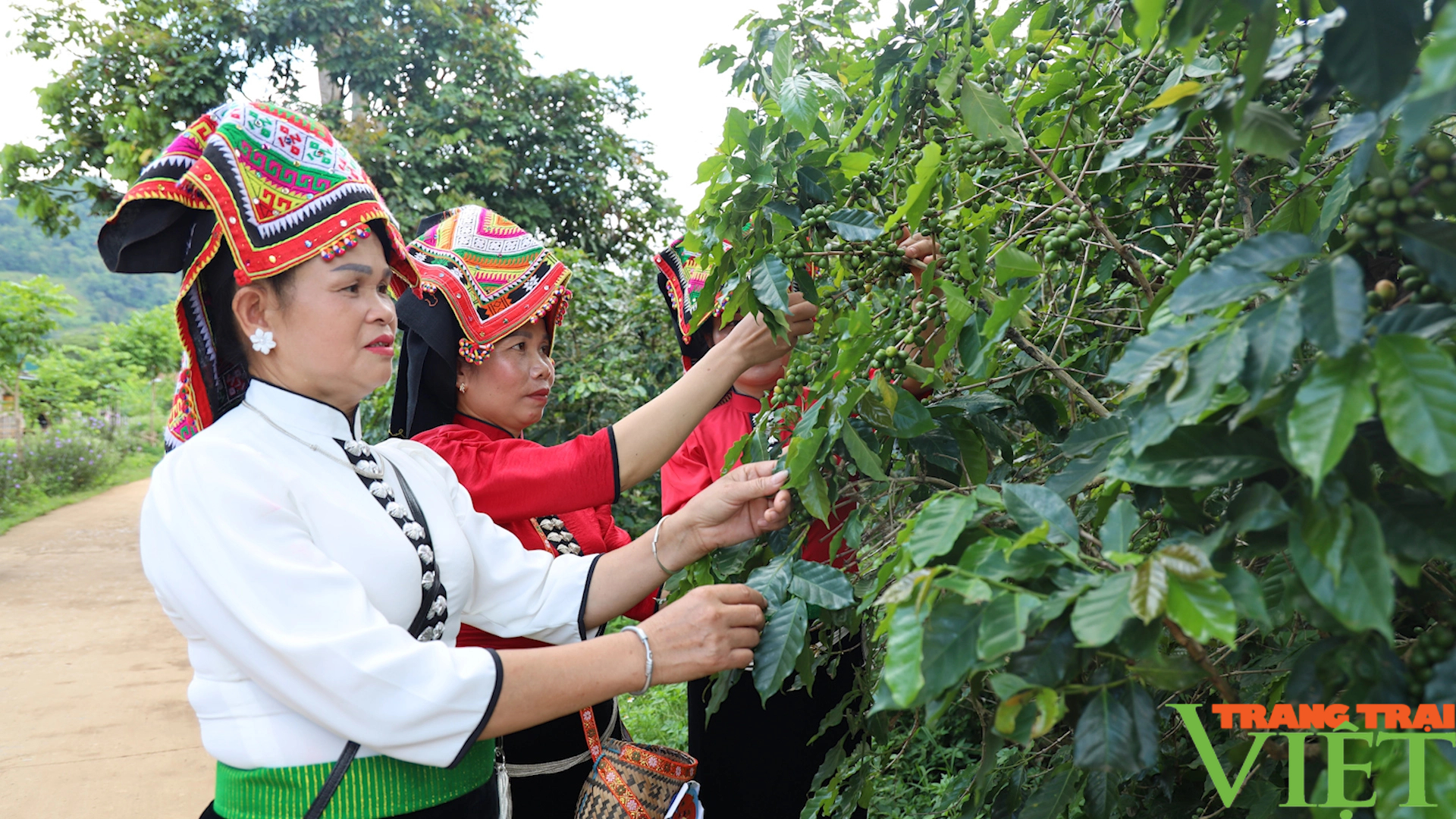 Về bản Hùn, bản nông thôn mới kiểu mẫu về văn hóa nông thôn - Ảnh 2.