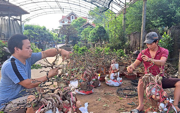 Chuyên canh nông nghiệp công nghệ cao đang làm giàu cho nông dân một huyện của Lâm Đồng - Ảnh 1.