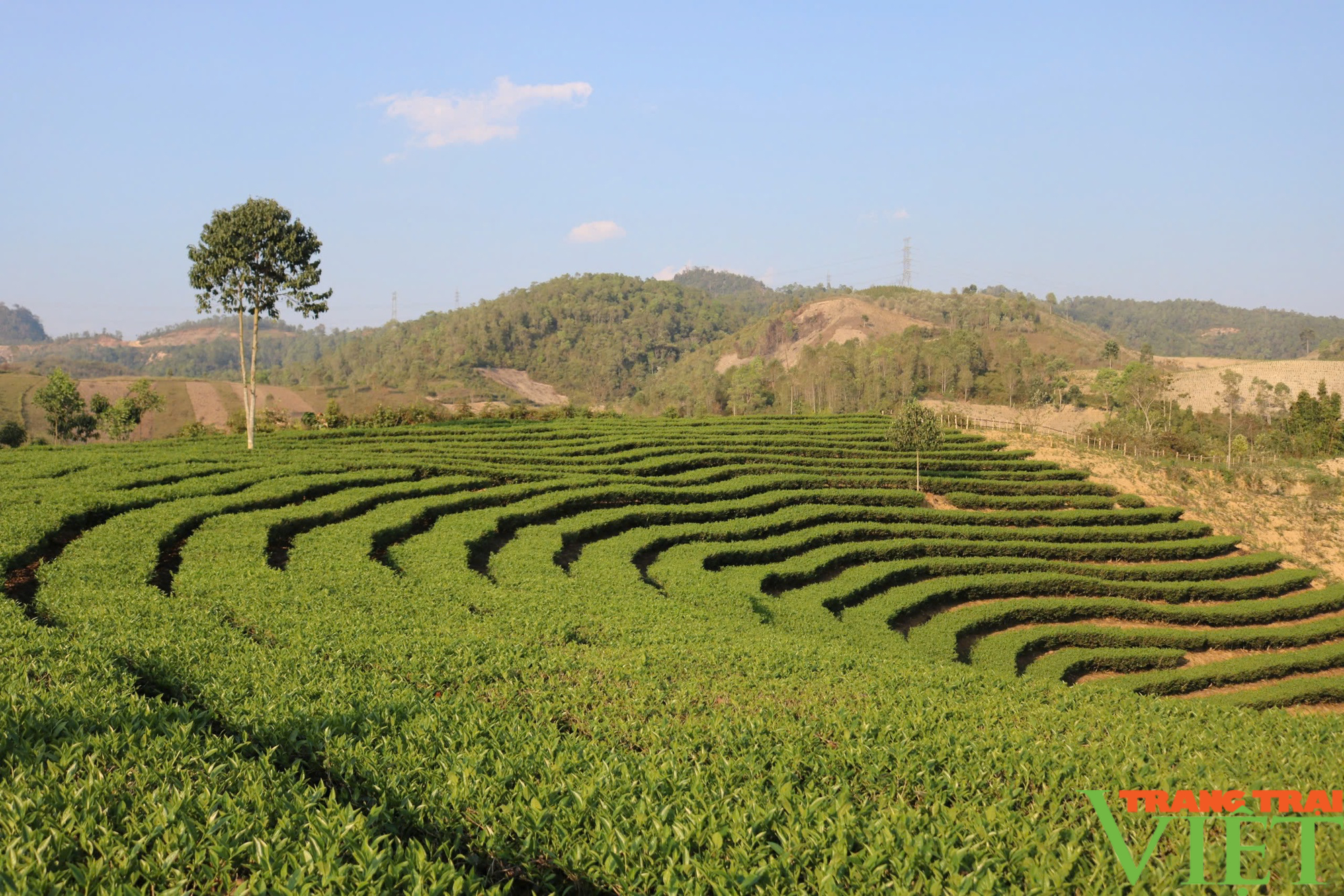 Thuận Châu: Đổi thay Mường É  - Ảnh 1.