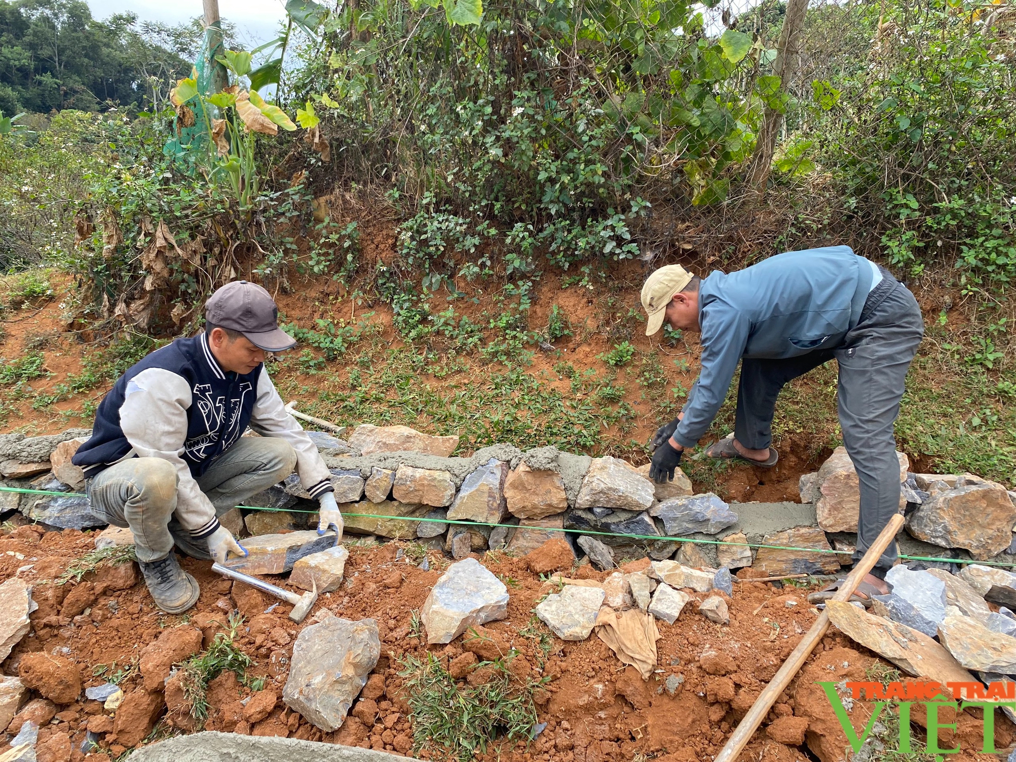 Những "trái ngọt" từ xây dựng chương trình mục tiêu quốc gia nông thôn mới ở huyện Mai Sơn - Ảnh 4.