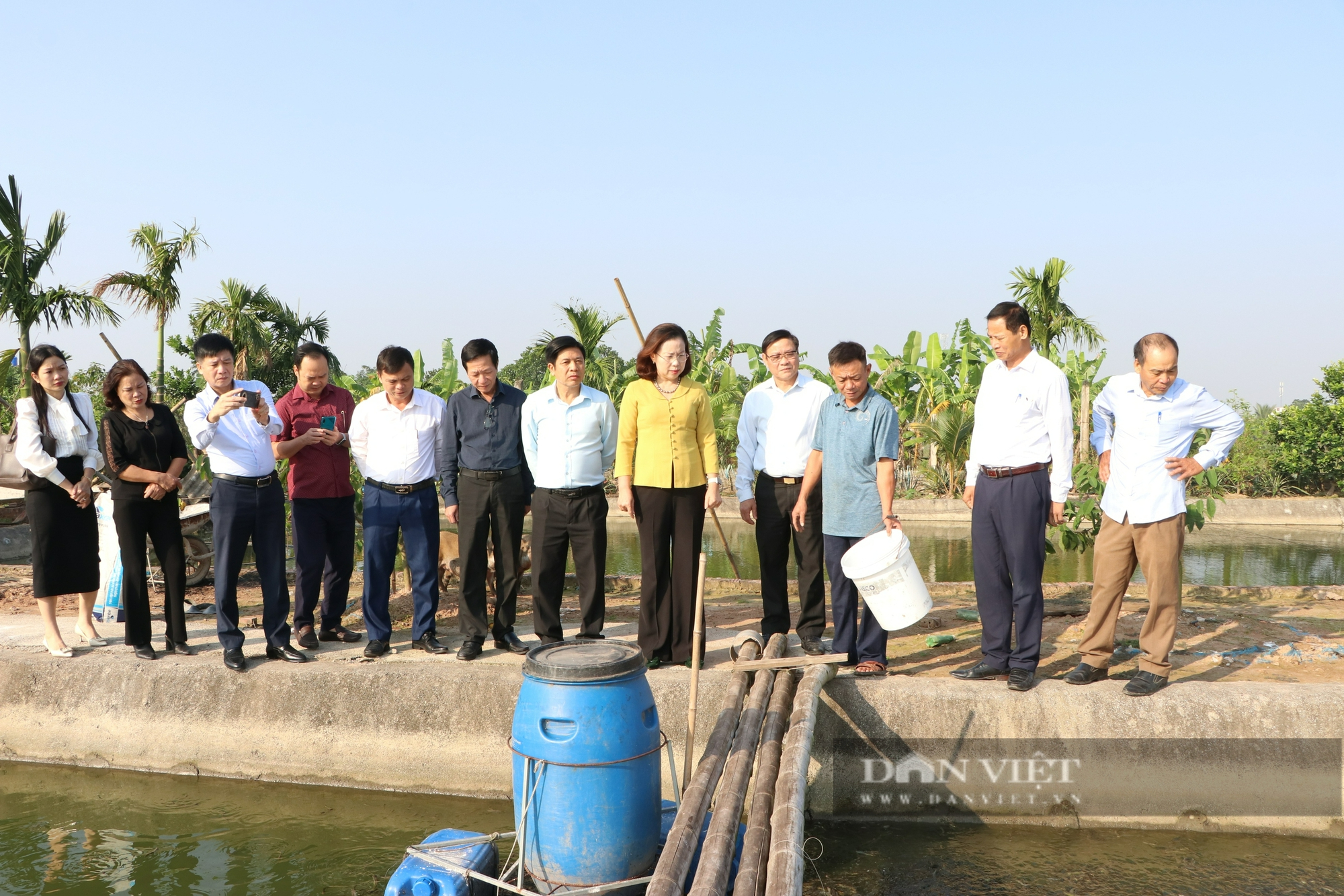 Hội Nông dân Thái Bình hỗ trợ xây dựng hơn 300 mô hình tích tụ ruộng rất, hỗ trợ 1.500 tấn phân bón trả chậm - Ảnh 1.