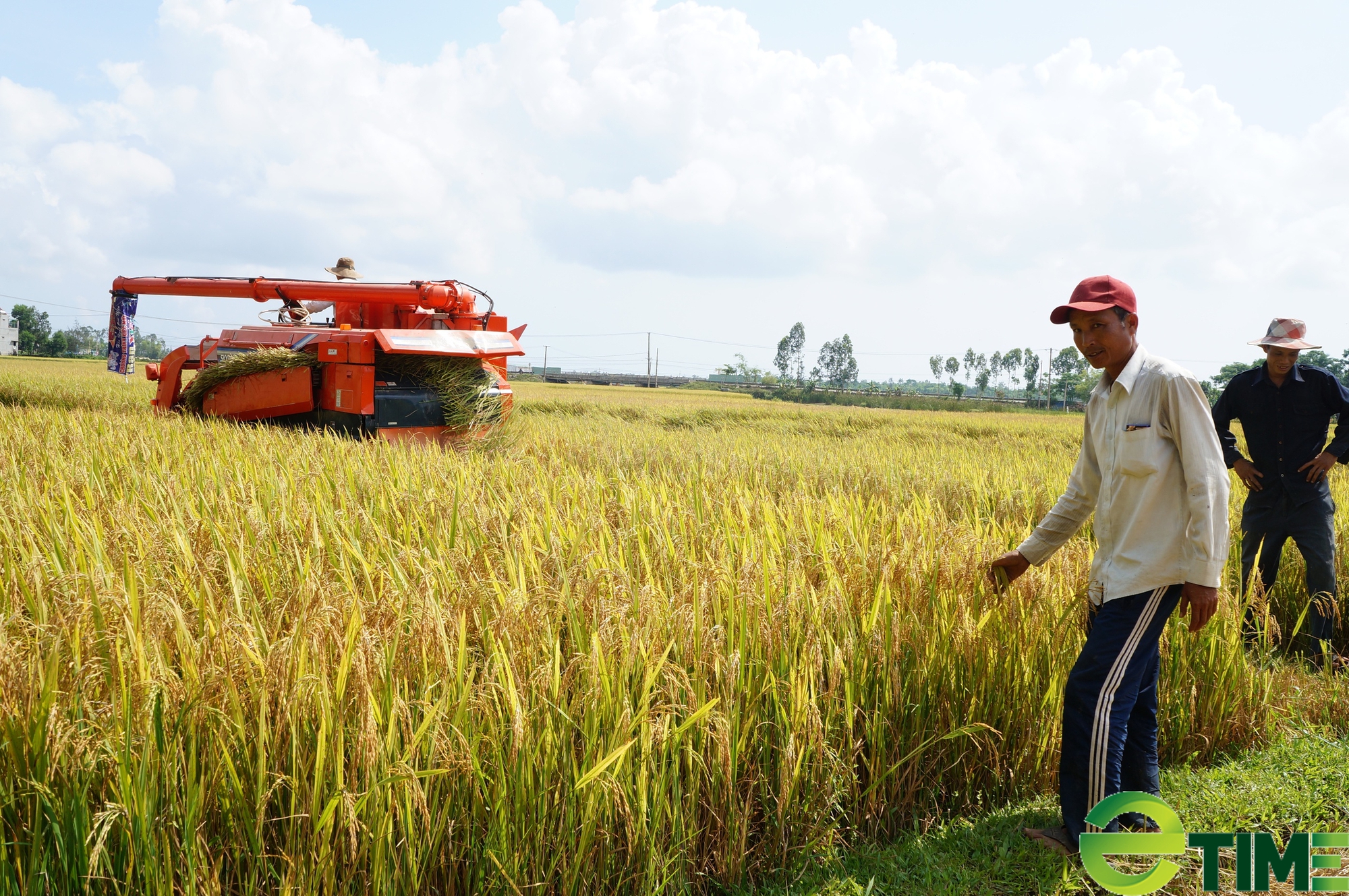 Quảng Nam: Huyện Nông thôn mới Phú Ninh, người dân thu nhập 60 triệu đồng/người/năm - Ảnh 2.