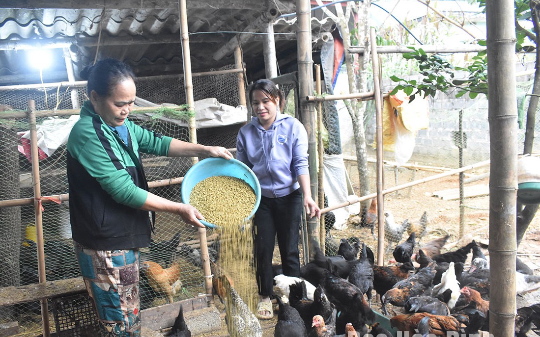 Đặc sản Long An, dân tình hễ đã ăn 4 món ngon này là muốn nếm thêm một lần nữa, đó là món gì? - Ảnh 11.