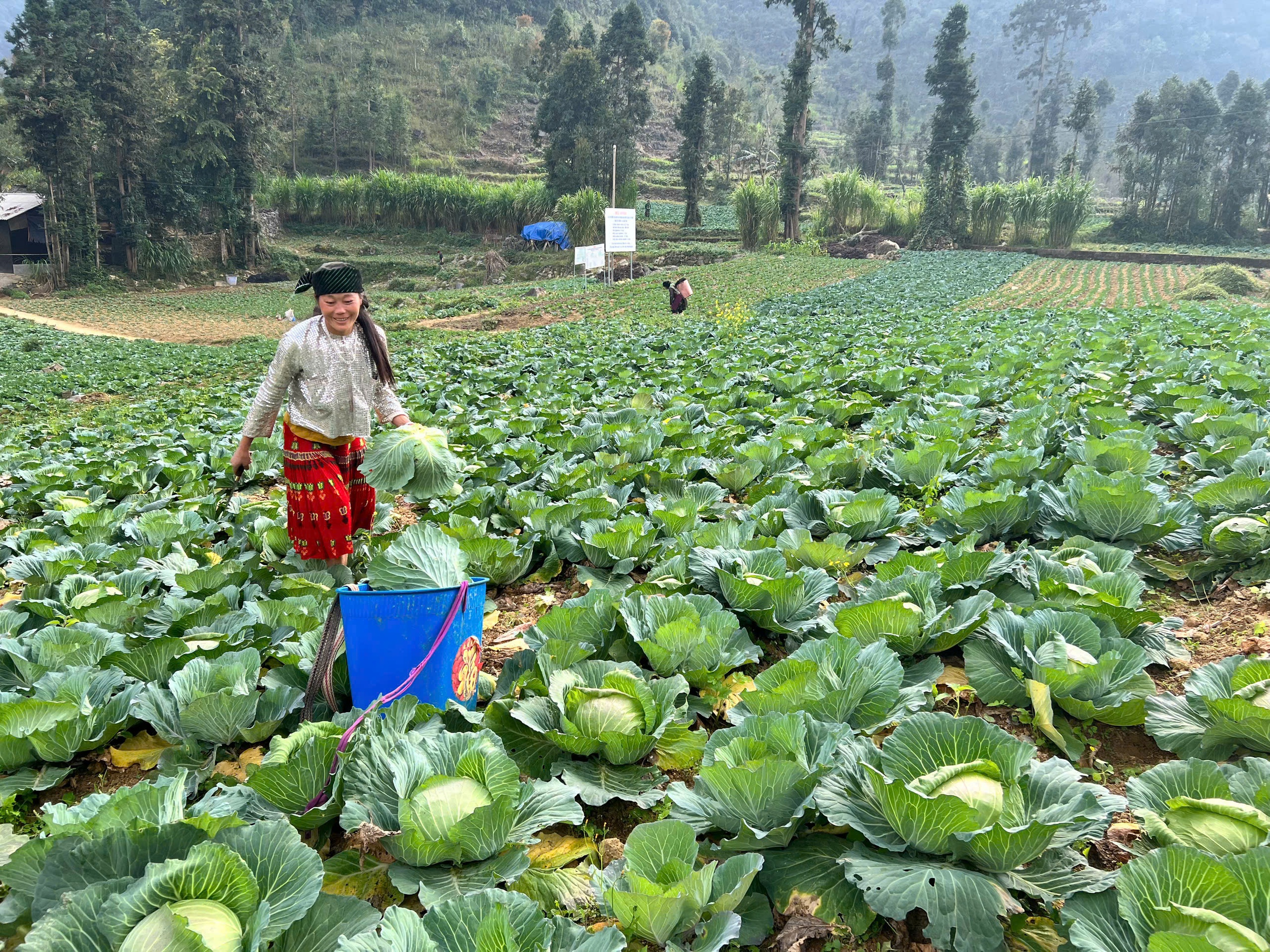 Hà Giang tăng tốc, bứt phá về đích xây dựng NTM giai đoạn 2021-2025- Ảnh 2.