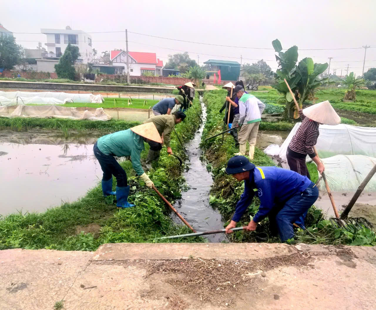 Hội Nông dân phường Quảng Yên chia sẻ cách xây dựng tổ chức hội vững mạnh - Ảnh 9.