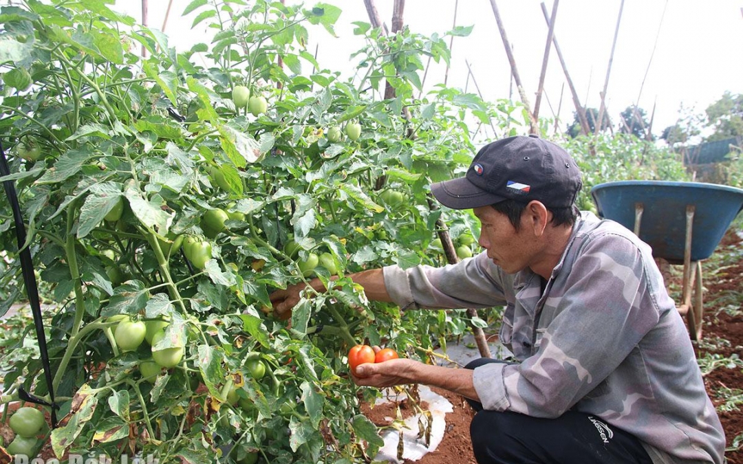 Đặc sản Long An, dân tình hễ đã ăn 4 món ngon này là muốn nếm thêm một lần nữa, đó là món gì? - Ảnh 9.