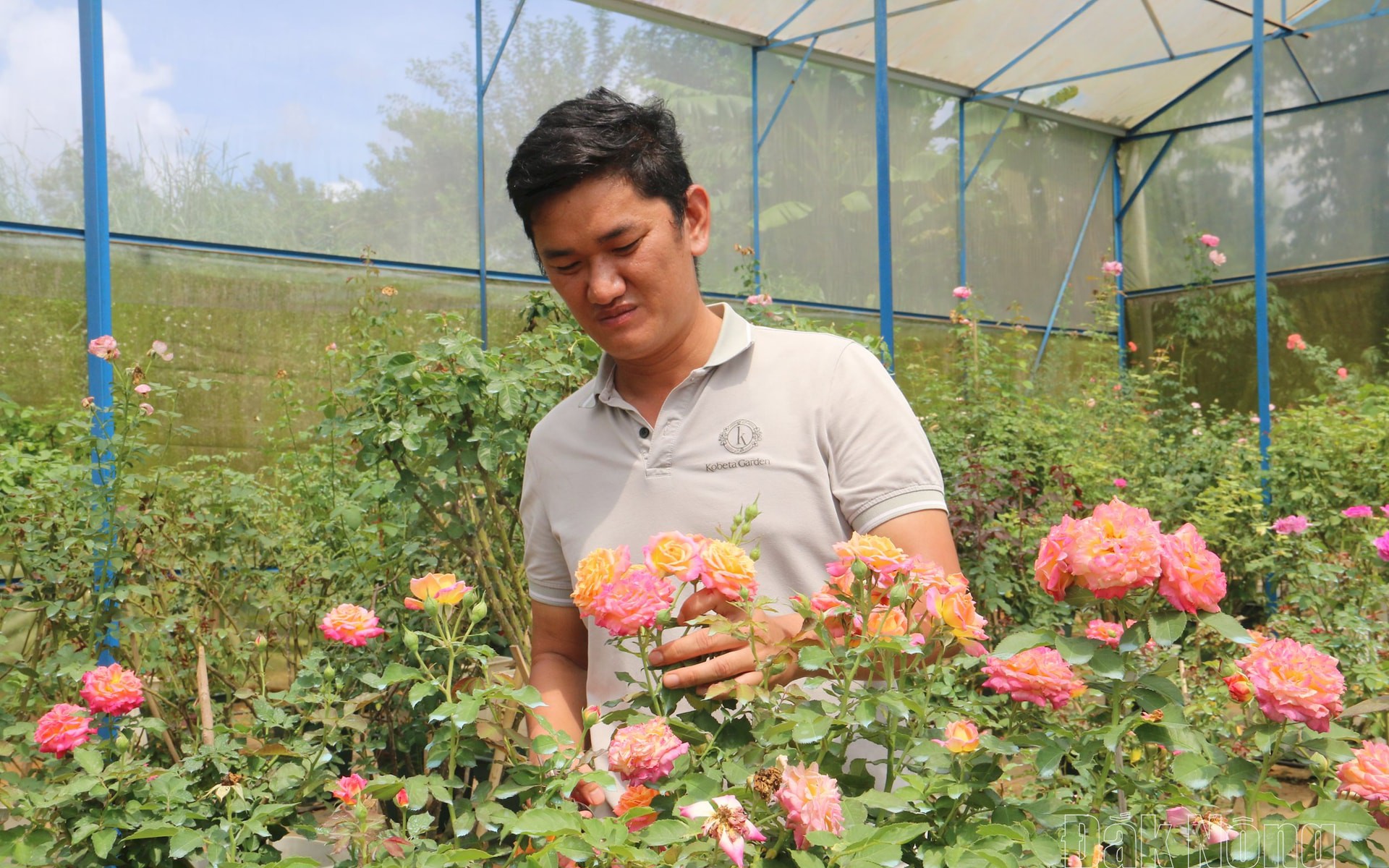 Đặc sản Tiền Giang, mắm tôm chà Gò Công theo chân Thái hậu Từ Dụ nhà Nguyễn ra cung đình Huế - Ảnh 2.