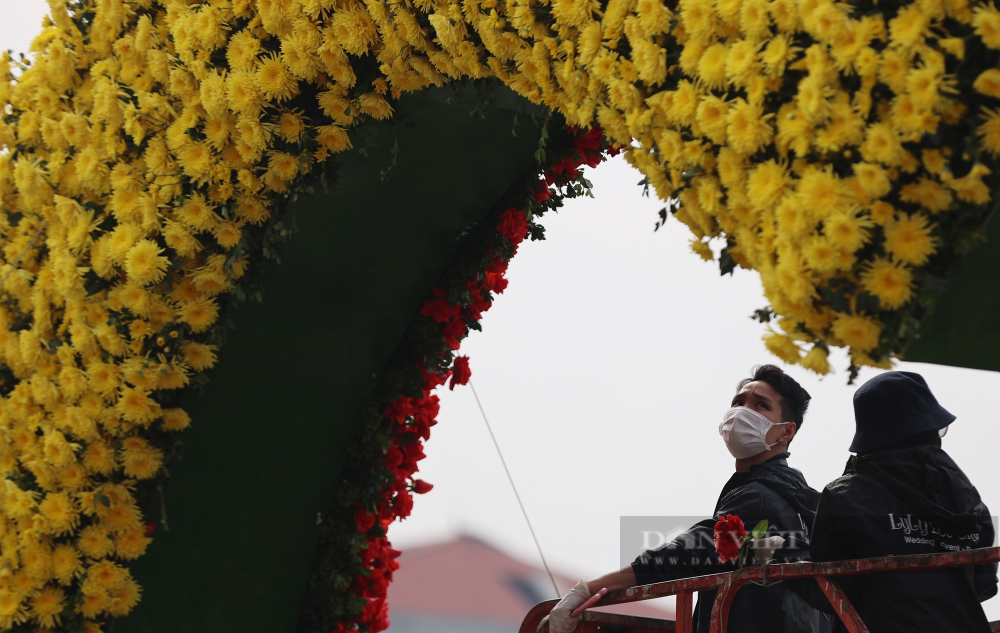 Trăm hoa đua nở trước giờ ra mắt Festival hoa Mê Linh lớn nhất miền Bắc - Ảnh 7.