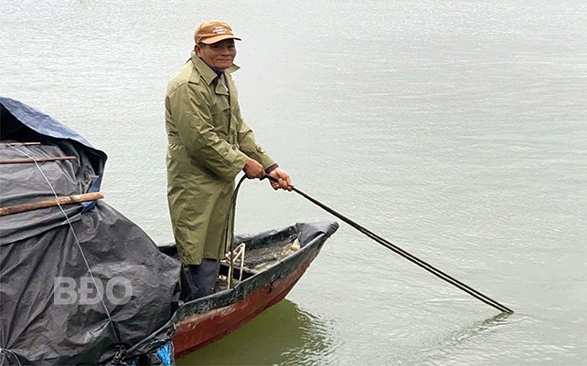 Nơi này của Gia Lai, hễ nhà nào trồng mắc ca tốt um ra "trái cứng hạt giòn" ăn khỏe đẹp, nhà đó giàu - Ảnh 5.