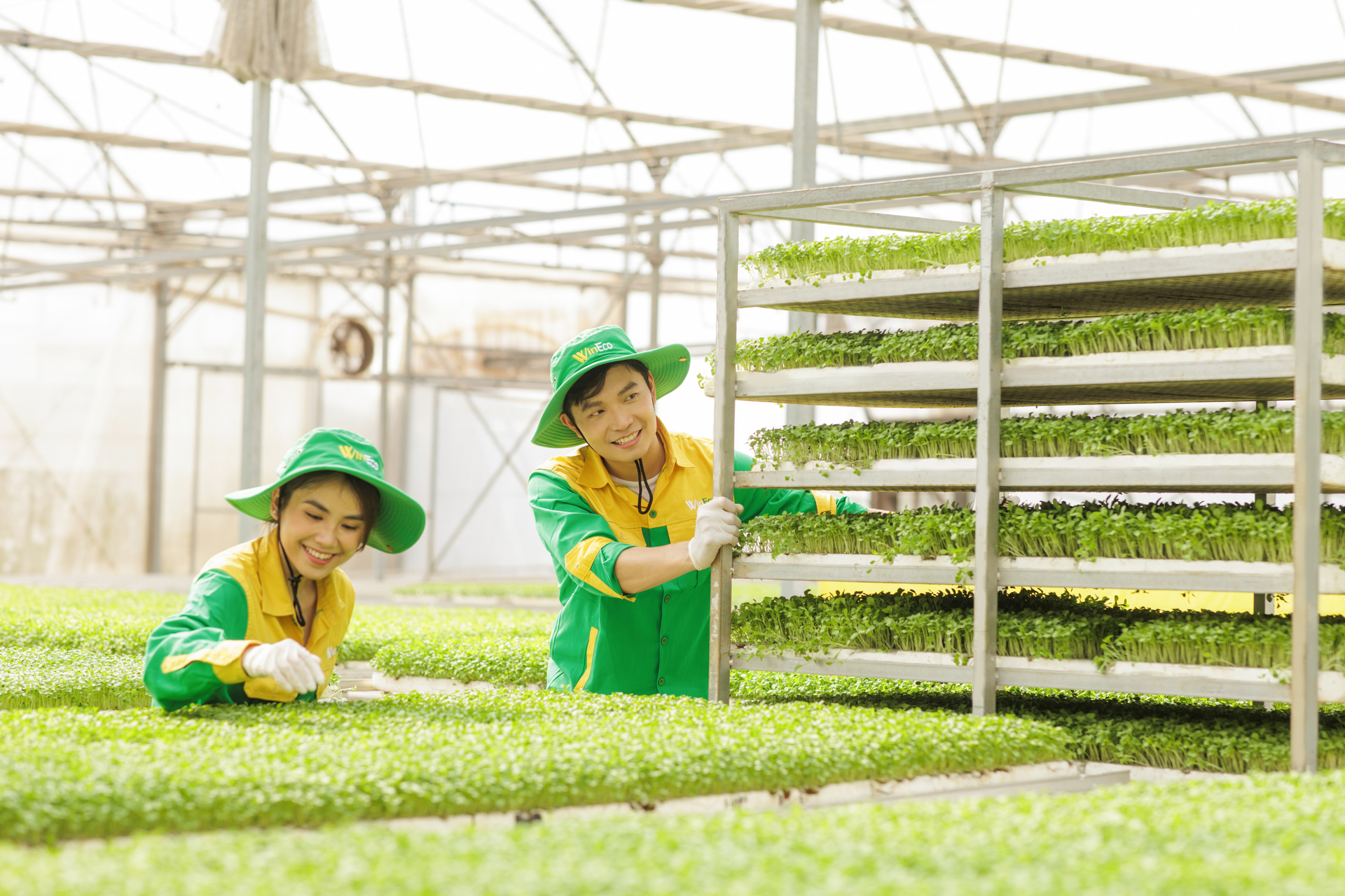 "Ông lớn" ngành bán lẻ Masan kiên định xây dựng nền tảng kinh doanh bền vững - Ảnh 3.