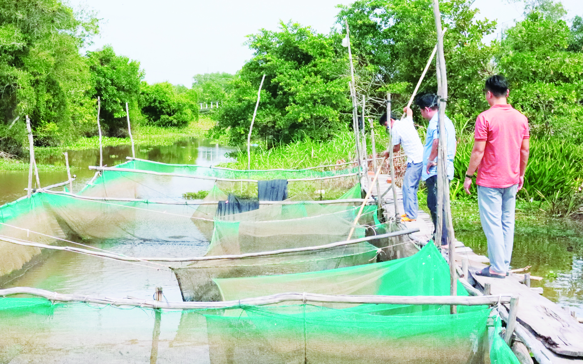 Khu bảo tồn thiên nhiên này ở Đồng Nai la liệt động vật sách Đỏ, con cò thìa châu Âu lạ lắm, mỏ dài - Ảnh 2.