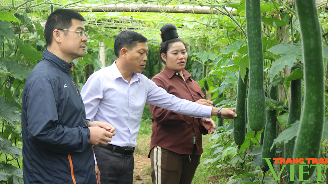 Đổi mới hoạt động, xây dựng Hội Nông dân tỉnh Sơn La ngày càng vững mạnh - Ảnh 2.