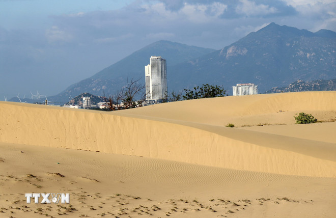 Tiểu sa mạc Sahara ở Ninh Thuận là một đồi cát cách Phan Rang-Tháp Chàm 7km, cảnh đẹp như phim- Ảnh 3.