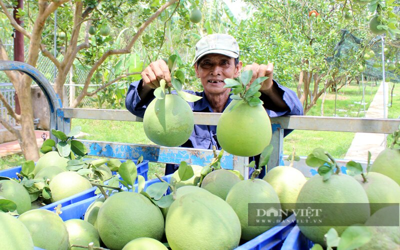 Đồng Nai: Gần 3.000 hộ có tài khoản thương mại điện tử  - Ảnh 3.