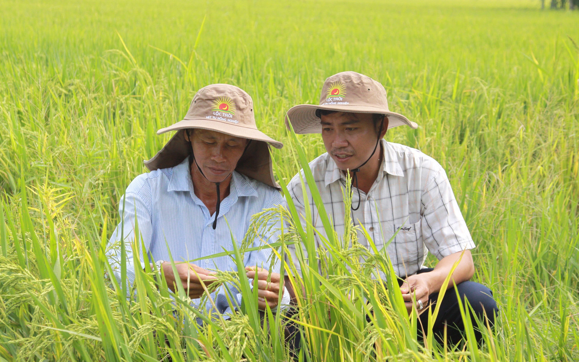 Kỷ lục nông nghiệp năm 2024: Gỡ được nhiều nút thắt, đến thời “bùng nổ” của các hợp tác xã nông nghiệp (Bài 4)- Ảnh 5.