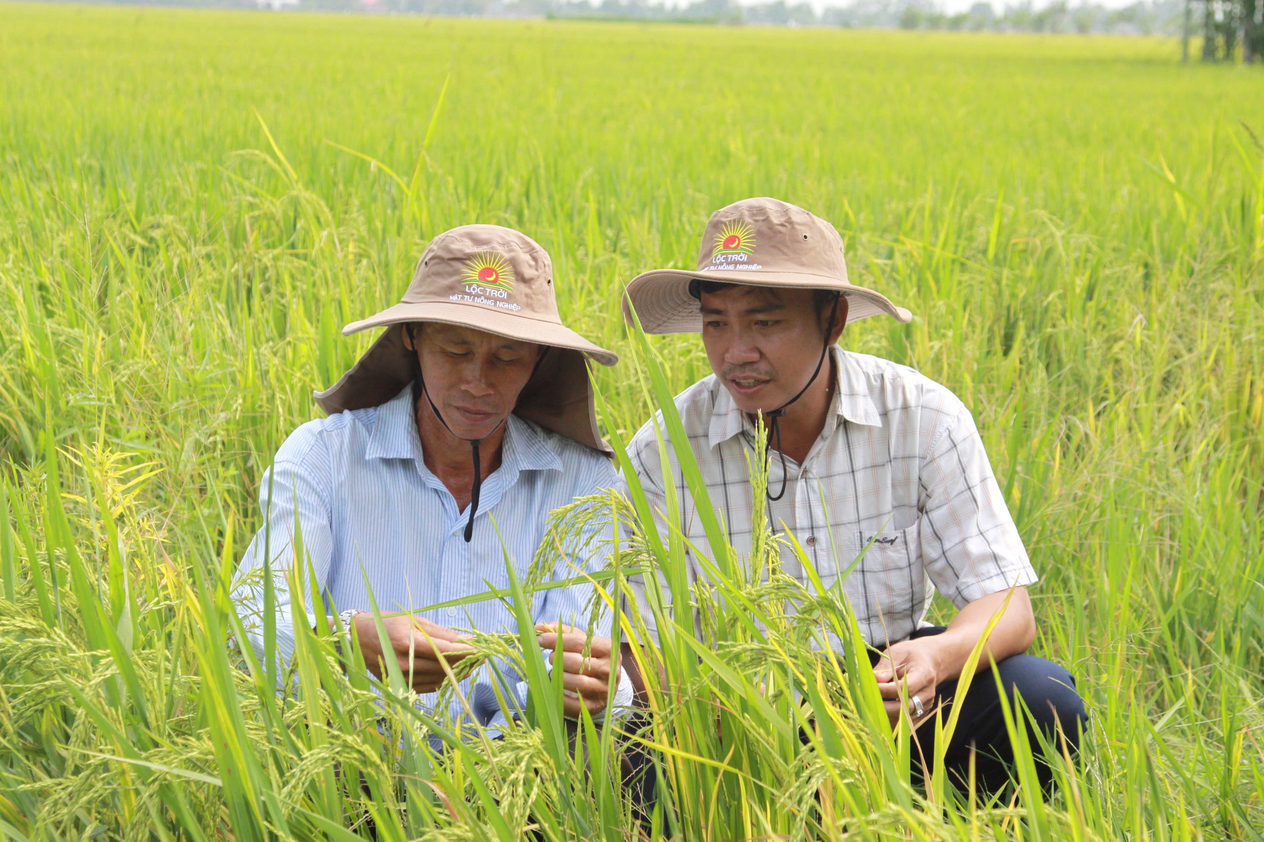 Kỷ lục nông nghiệp năm 2024: Thay đổi từ cách tiếp cận nông nghiệp nâu sang nông nghiệp xanh (Bài 2) - Ảnh 1.