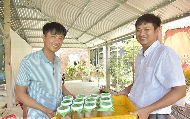 Một nơi ở Tây Ninh, nông dân rủ nhau nuôi cá lóc kiểu gì mà hễ nhà nào nuôi lớn bắt bán là trúng - Ảnh 2.