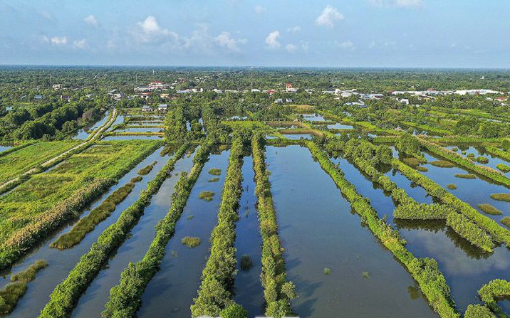 Tiểu sa mạc Sahara ở Ninh Thuận là một đồi cát cách Phan Rang-Tháp Chàm 7km, cảnh đẹp như phim - Ảnh 2.