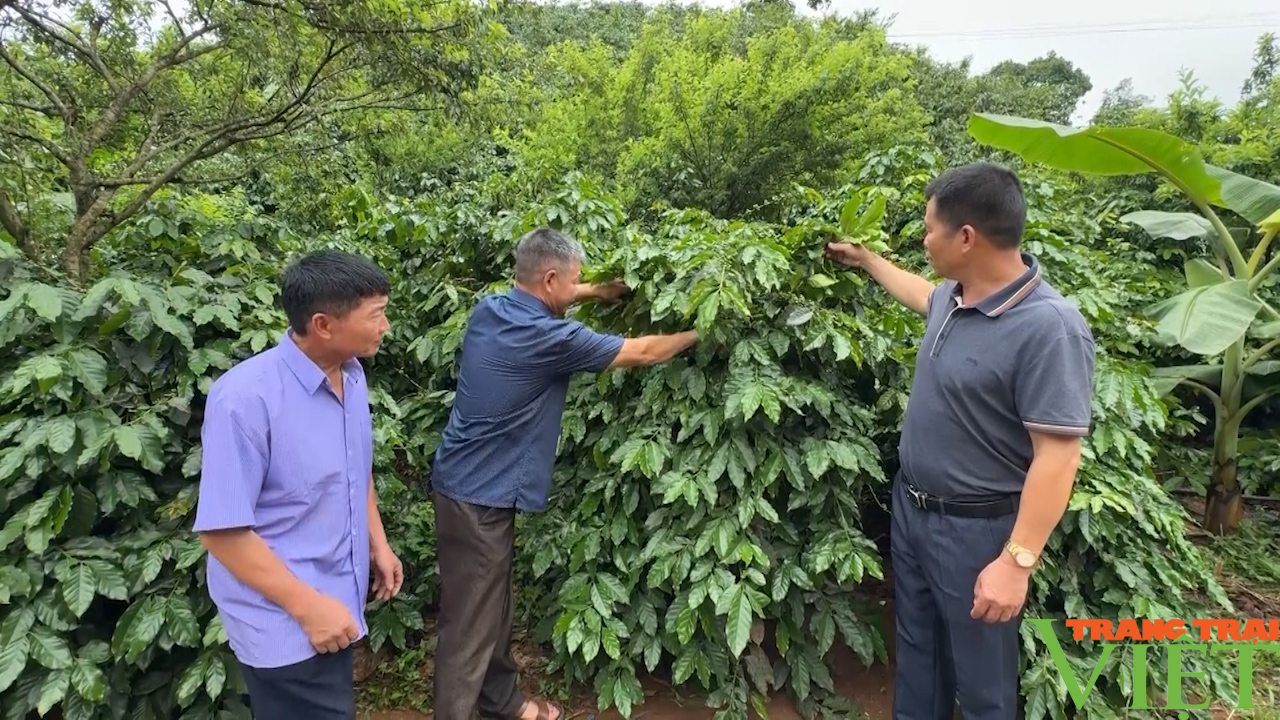 Phát huy nội lực, xây dựng nông thôn mới nâng cao ở Chiềng Đen - Ảnh 4.