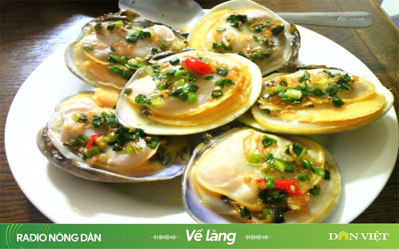 Làm dâu miền biển - Ảnh 1.