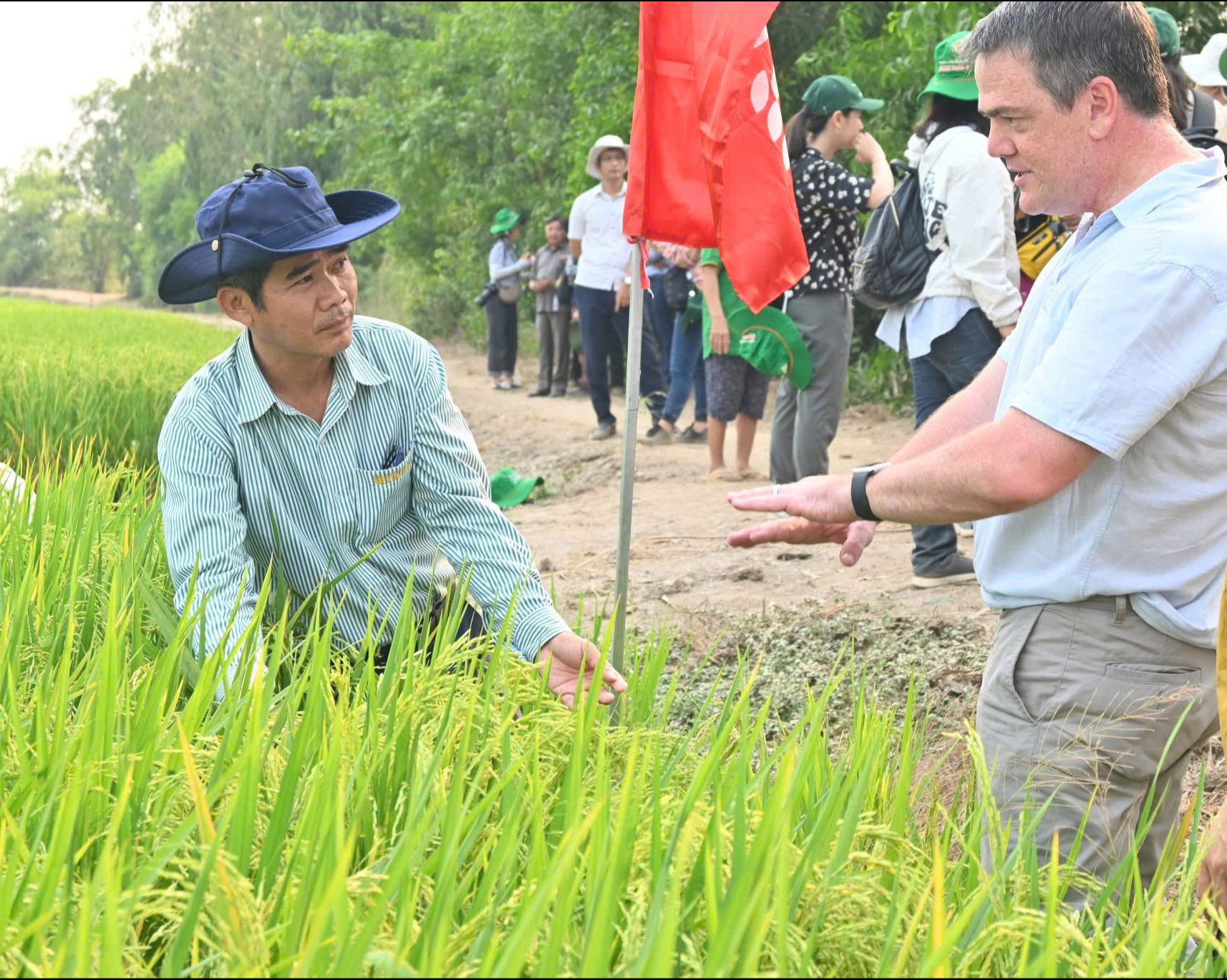 Đã có nơi ở miền Tây, nông dân trồng lúa giảm được hàng nghìn tấn CO2e - Ảnh 3.