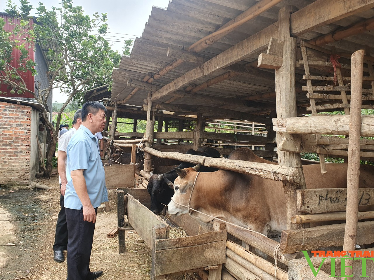 Thuận Châu giúp hội viên, nông dân phát triển kinh tế gắn với xây dựng nông thôn mới - Ảnh 2.