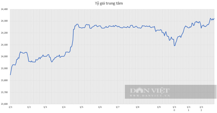 Giá USD hôm nay 29/12: Thị trường tự do bật tăng 90 đồng- Ảnh 2.