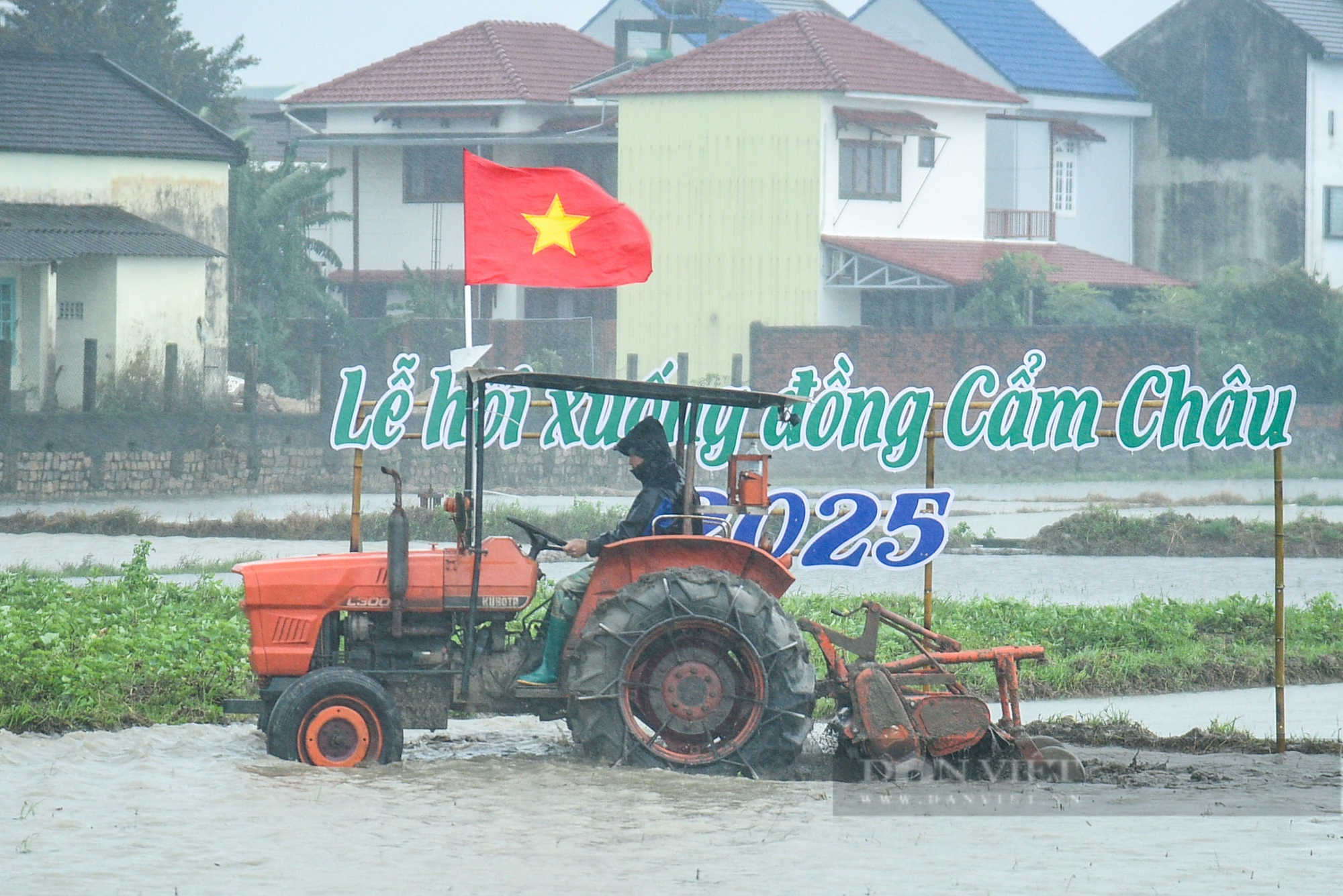 Khách Tây "đội mưa" trải nghiệm cày ruộng cùng nông dân Hội An- Ảnh 1.