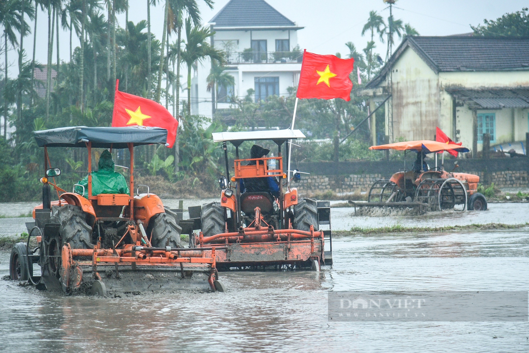 Khách Tây "đội mưa" trải nghiệm cày ruộng cùng nông dân Hội An- Ảnh 3.